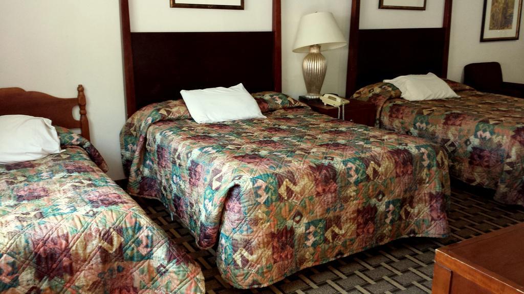 Executive Inn & Suites Lakeview Rum bild