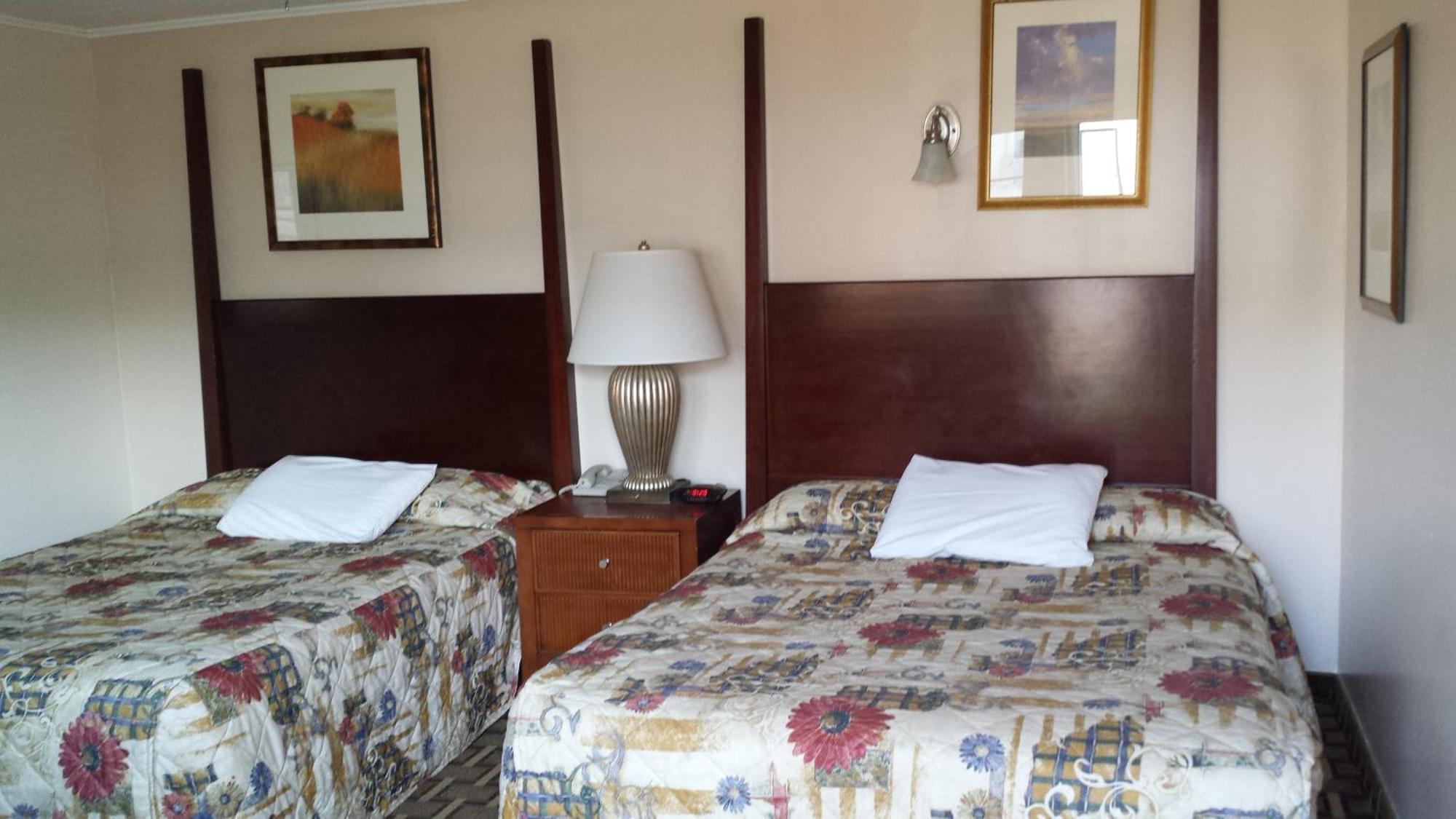 Executive Inn & Suites Lakeview Rum bild